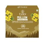 Mullein