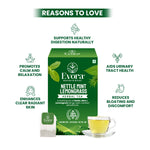 Nettle Mint Lemongrass