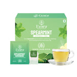 Spearmint